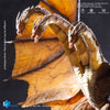 Hiya Toys EBG0234 King Ghidorah 2.0 (35CM)
