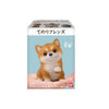 Tenori Friends 2 #1 Mameshiba