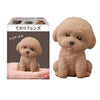 Tenori Friends 2 #3 Toy Poodle