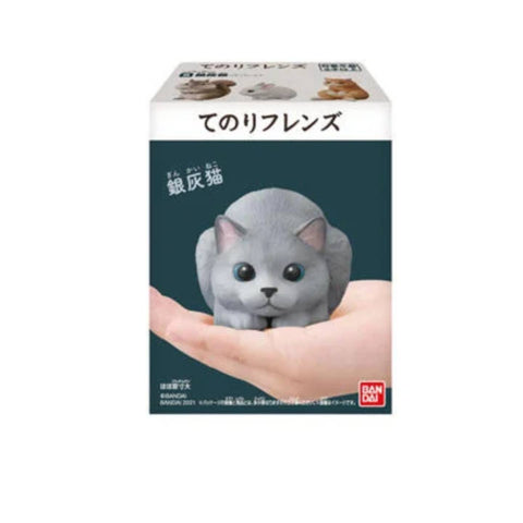 Tenori Friends 2 #8 Silver Ash Cat