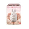 Mofumofu Tenori Friends 2 #7 White Rabbit