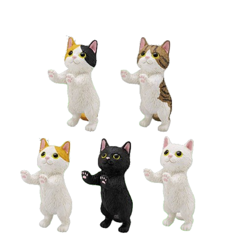 Kittens Touch Capsule (Set of 5)