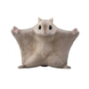 Mofumofu Tenori Friends 2 #4 Siberian Flying Squirrel