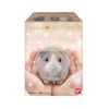 Mofumofu Tenori Friends 2 #5 Guinea pig