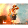 One Piece The Shukko Logia Portgas D Ace Special