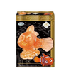 Disney Crystal Gallery - Nemo