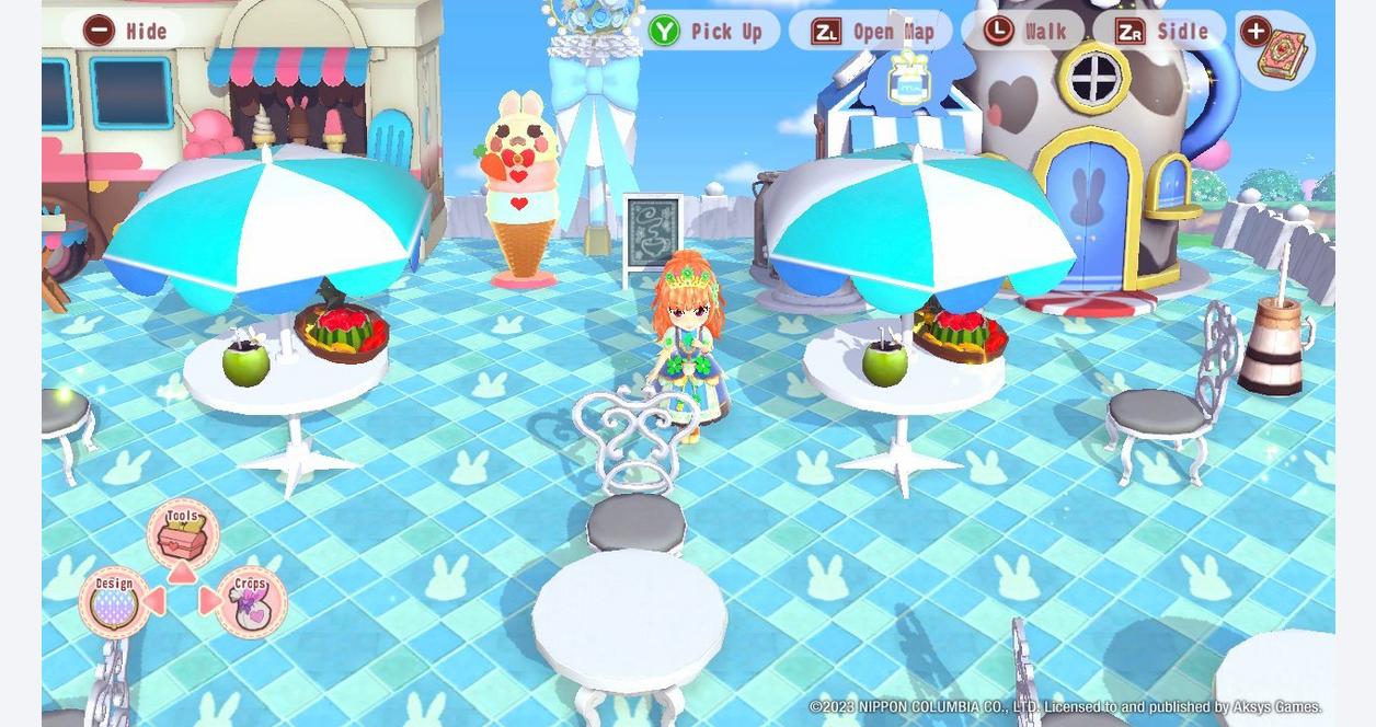 Pretty Nintendo Nintendo Switch Pretty Princess Magical Garden Island (US) | PLAYe