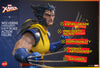 Hono Studio HS06 Marvel X-Men 1/6 Unmasked Wolverine