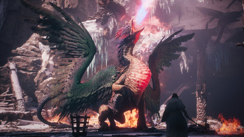 Nintendo Switch 2 Dragon's Dogma 2: Dark Arisen (Asia) Game Key-card