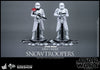 Hot Toys Star Wars First Order Snowtroopers Set