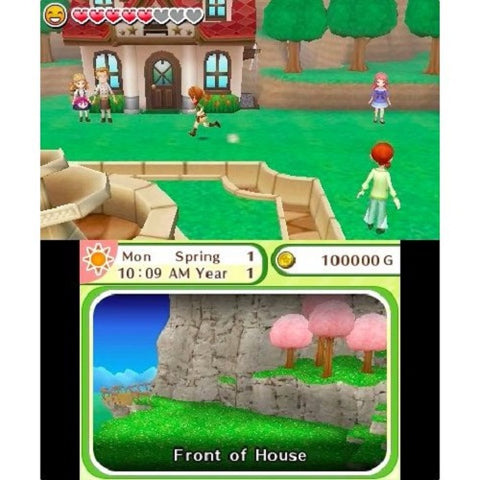3DS Harvest Moon: Skytree Village