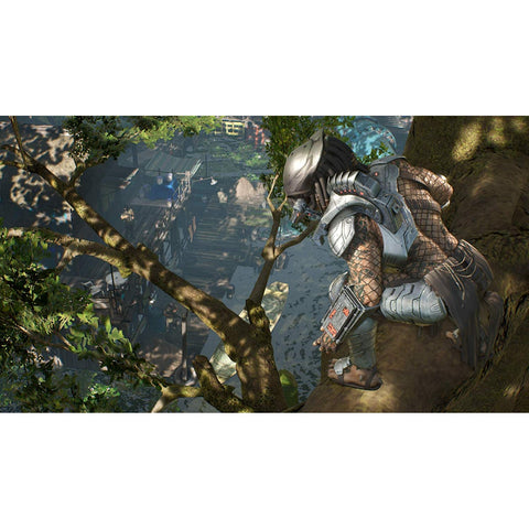 PS4 Predator: Hunting Grounds (US)