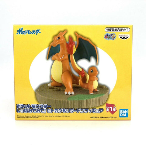 Pokemon Shippo Mite Mite Charmander and Charizard