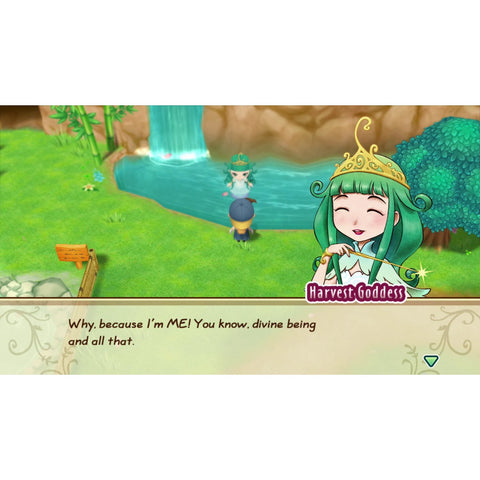 Nintendo Switch STORY OF SEASONS: Friends of Mineral Town (US)