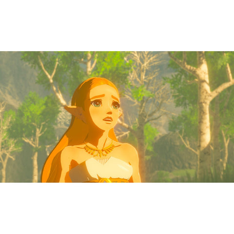 Nintendo Switch The Legend of Zelda Breath of The Wild